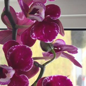 Meet your Posher, Arelis